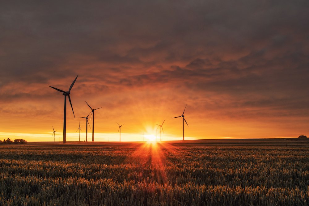 Wind turbines at sunset over a field